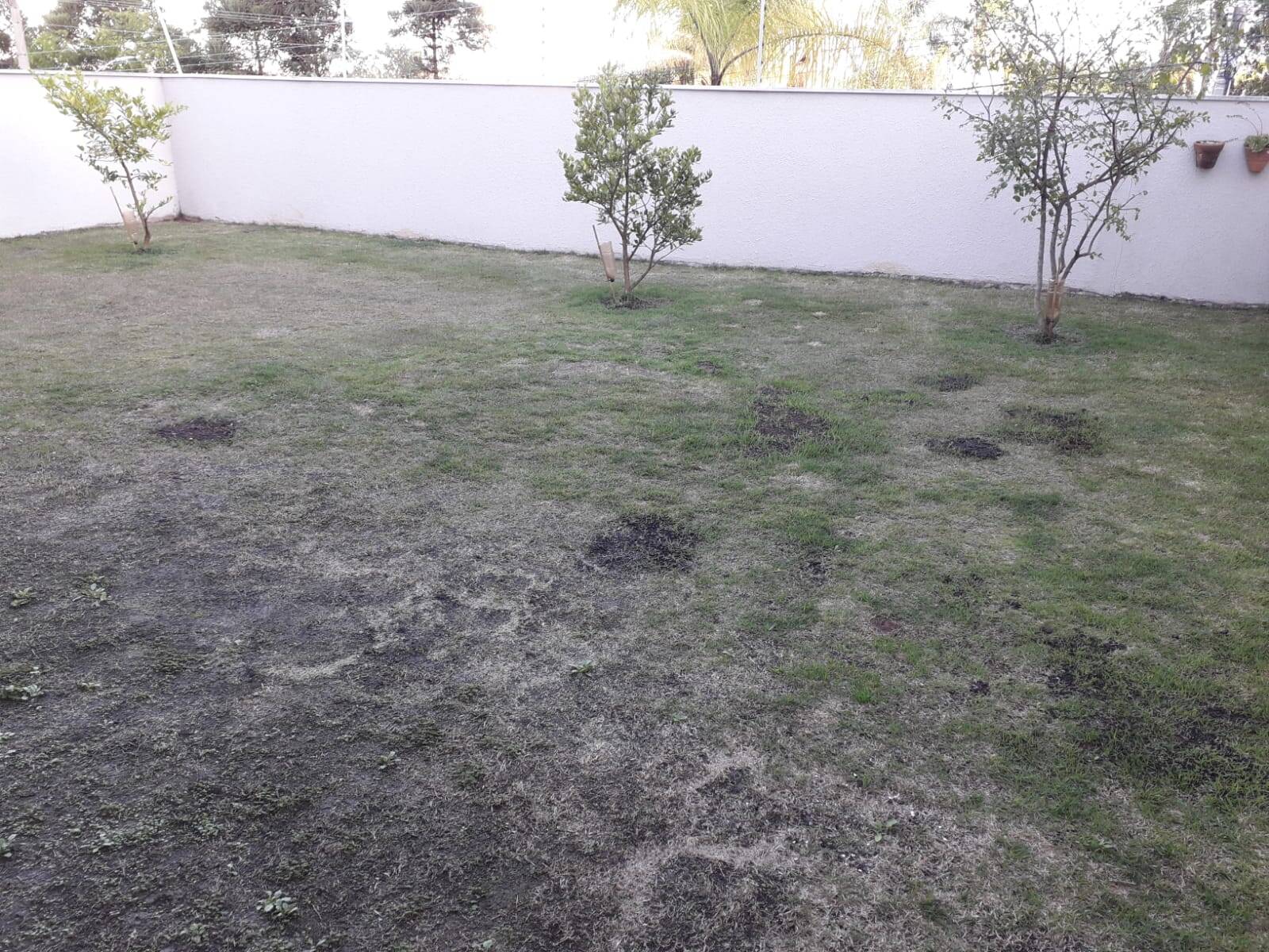 Casa à venda com 4 quartos, 136m² - Foto 23