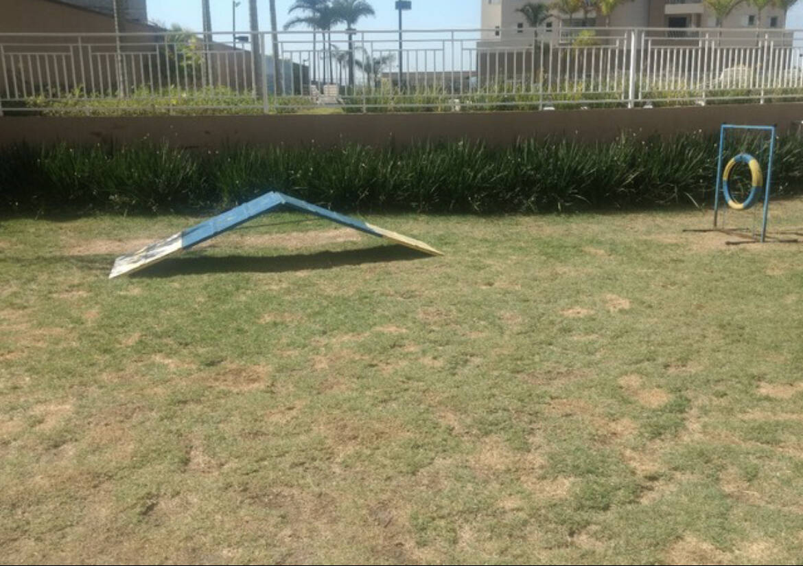 Apartamento à venda com 2 quartos, 62m² - Foto 11